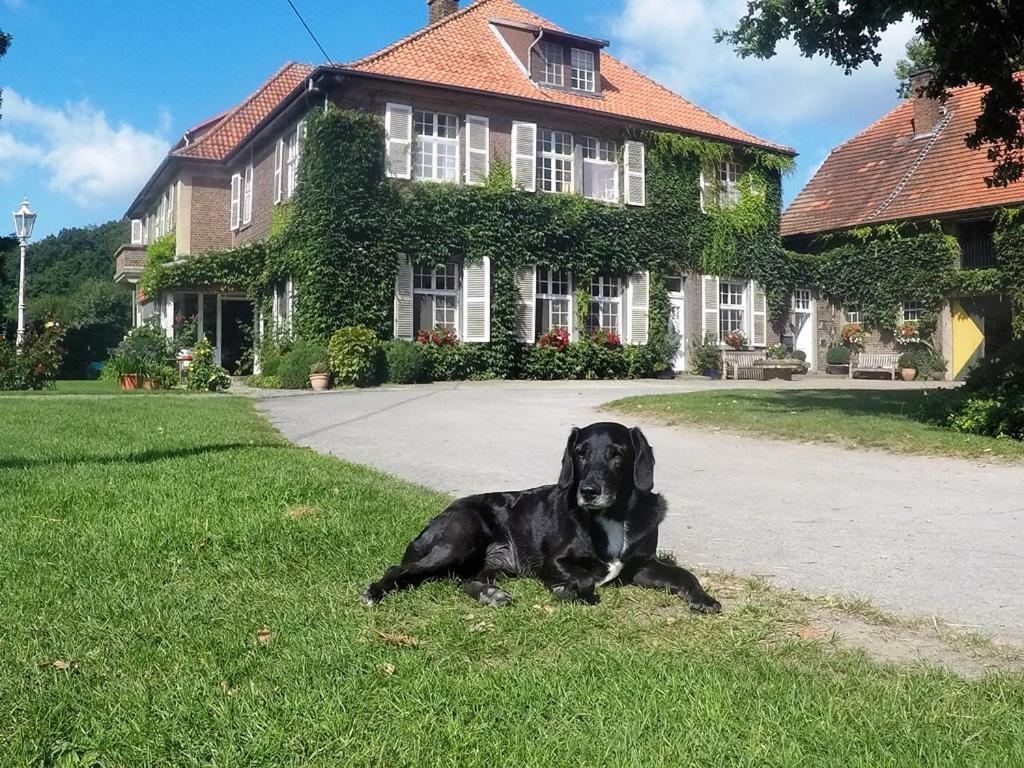 Ferienwohnungen Georgenbruch Everswinkel Eksteriør billede